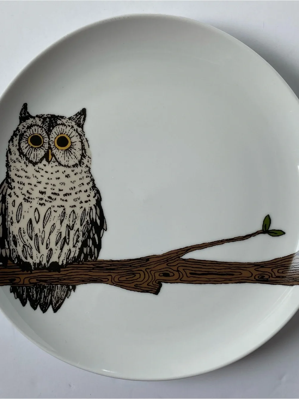 West Elm Owl Plate 8.5” Serving Art Drawing Display Bird Ceramic Birding Tree